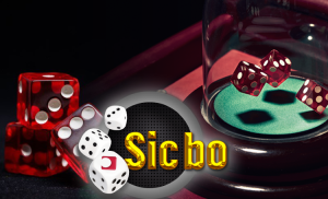 Cara Memahami dan Menggunakan Pembayaran di Sicbo Online